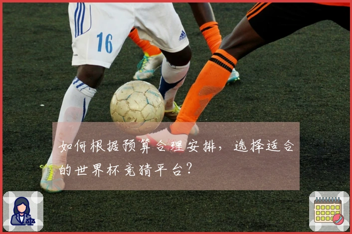 如何根据预算合理安排，选择适合的世界杯竞猜平台？