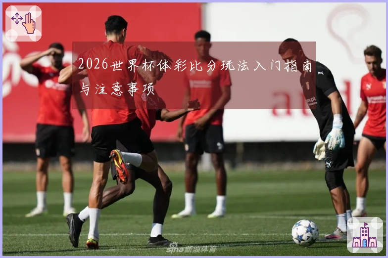 2026世界杯体彩比分玩法入门指南与注意事项