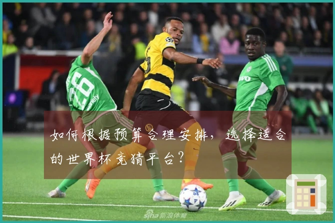 如何根据预算合理安排，选择适合的世界杯竞猜平台？